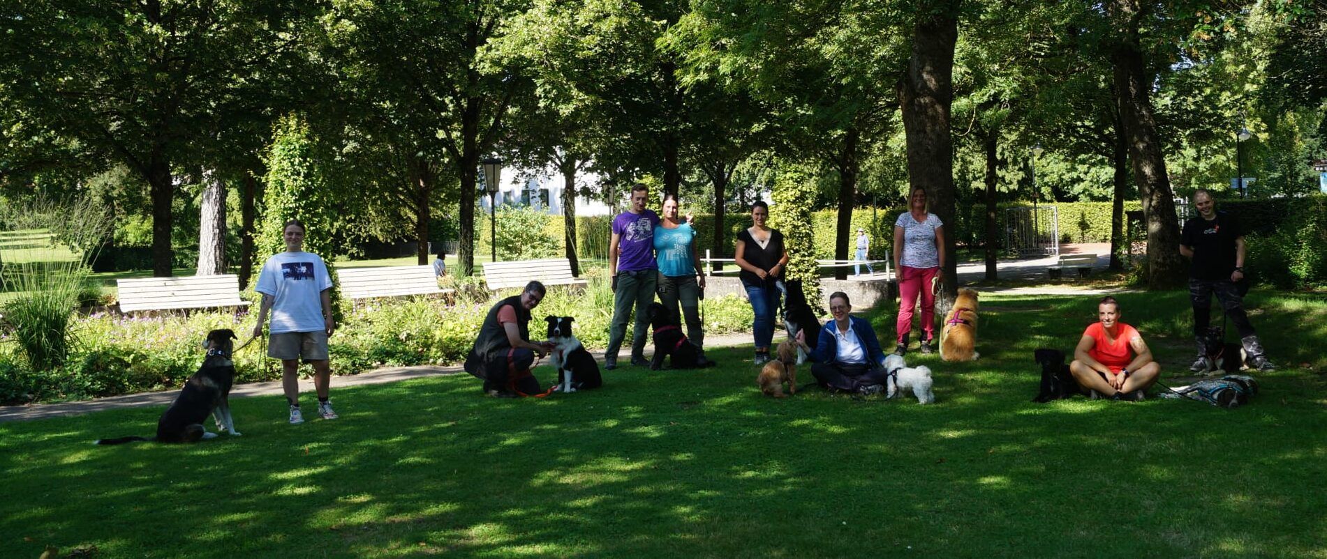 Manuela Kiefer mit einer Hundegruppe im Park beim Social Walk